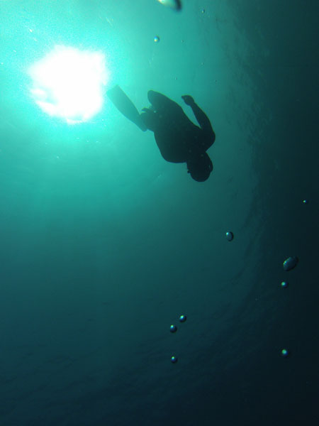 Apnea en gran canaria