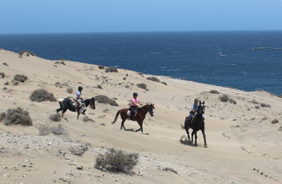 Ride a horse in Gran Canaria